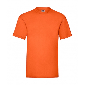 Camiseta Valueweight 165 gr - Ref. F15001